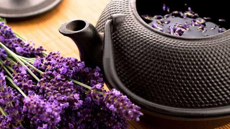 Lavender-Tea