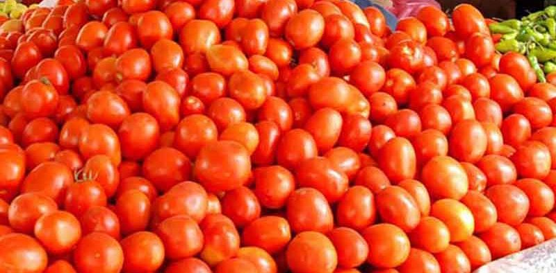 tomatoes-iran-pakistan-import