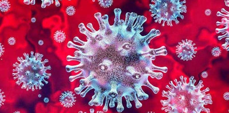 pakistan-reports-3045-new-coronavirus-cases-in-one-day