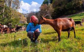 Ethiopian-Gudeta-killed-italy