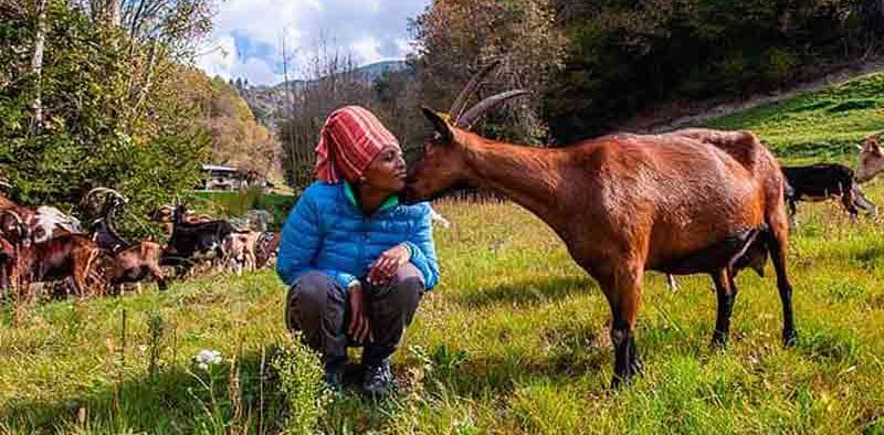 Ethiopian-Gudeta-killed-italy