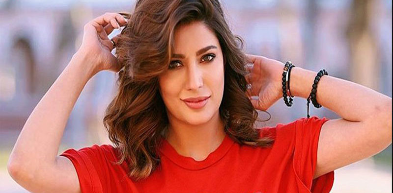 Mehwish-Hayat_updates