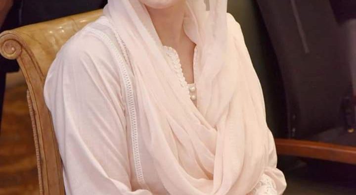 Mariyum Aurangzab put four ministers under chief minister Maryam Nawaz in the Punjab Cabinet