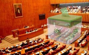 Senate resonates with demands for CEC action