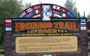 Iditarod Trail race