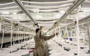 The dream of 200% growth in textile exports