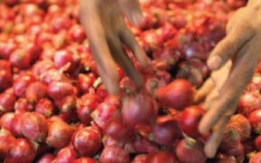 Onion Price Surge PBS Report Highlights Market Trends and Weekly Inflation in Pakistan