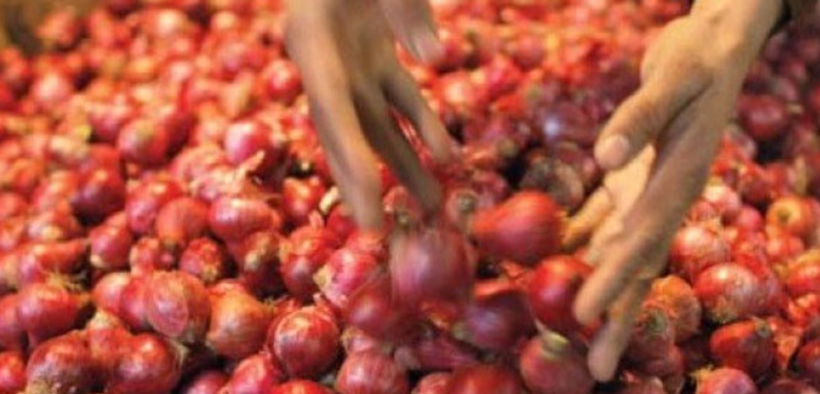 Onion Price Surge PBS Report Highlights Market Trends and Weekly Inflation in Pakistan