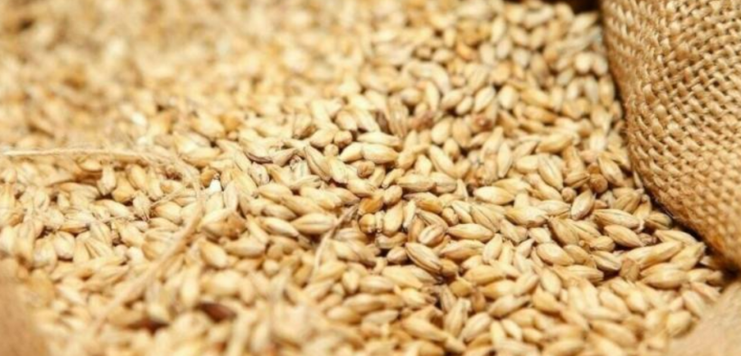 Pakistan Chooses to "Ban" Wheat Imports