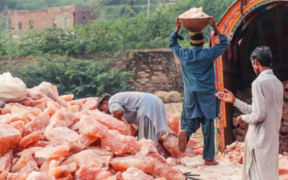 Pink Rock Salt Export Deal A Milestone for Pakistan's Economy