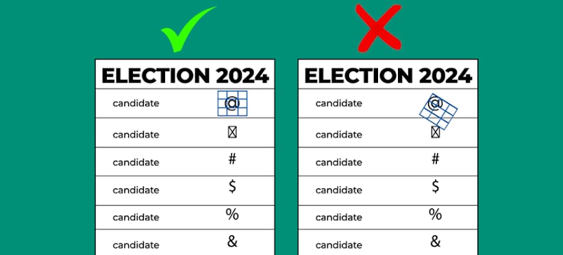 A detailed guidelines how to cast your vote in 2024 general elections?