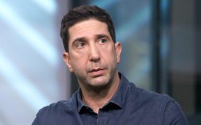 David Schwimmer, star of Friends, will be the leader of Goosebeumps season two