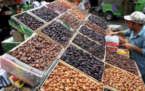 Saudi Arabia sends 100 tons of dates to Pakistan