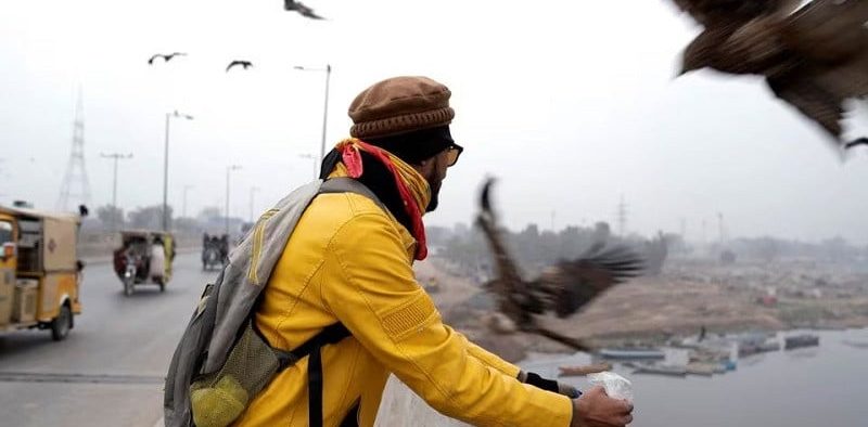 Notwithstanding restrictions on the practice, Pakistanis feed raptors