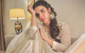 My Diyar-e-Dil job would be career suicide, according to everyone: Hareem Farooq