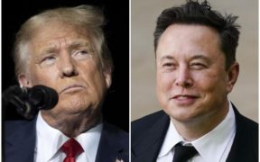 US elections: Elon Musk discusses meeting with Donald Trump after being silent