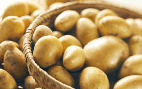 Pakistan Emerges as the 9th-Biggest Potato Producer in the World