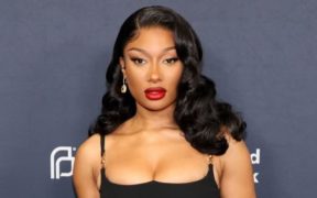 Rapper Megan Thee Stallion filed a lawsuit alleging a cameraman harassed her