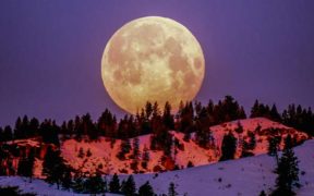 Tonight's "Pink Moon," or full moon in April, is expected to light up the sky