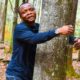 An environmentalist from Ghana smashes the world record by hugging over 1,100 trees in one hour