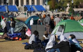 Faculty panel chastises Columbia authorities for using excessive force against protestors