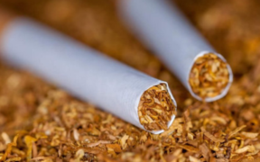 Crackdown Alert FBR Seals 33 Illegal Tobacco Shops, PM Orders Action