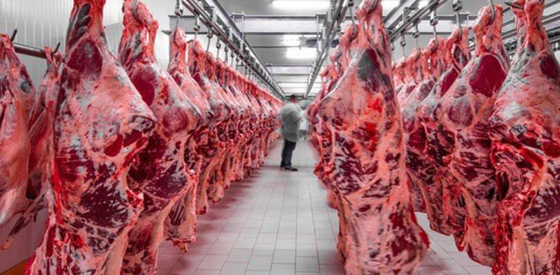 Organic Meat Co. (PSX TOMCL) Lands $4M UAE Export Deal Milestone Achievement