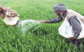 Urgent Import Decision Pakistan Faces 2.1 Million Ton Urea Fertilizer Shortfall for Kharif Season