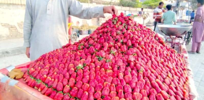 Climate change has a negative impact on strawberry output