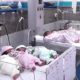 In Rawalpindi, a woman gives birth to healthy sextuplets