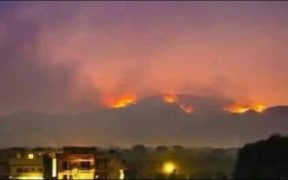 Capital Authority Battles Margalla Hills Blaze Forest Fire Season Declared