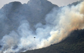 Margalla Hills Fire CDA Chairman Ensures Accountability Amid Ongoing Efforts