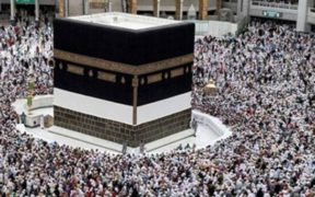 Over 31,000 Pilgrims Arrive in Madinah for Hajj 2024 as Direct Flights to Jeddah Begin