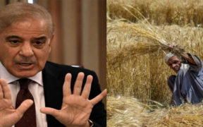 PM Appoints Inquiry Officer to Probe Wheat Import Scandal