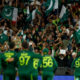 Pakistani Cricket Fan Zones Unveiling an Inclusive Experience Across Australia