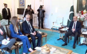 Prime Minister Engages with British High Commissioner to Pakistan