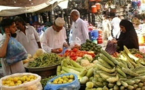 Weekly Price Index Report SPI Drops to 312.56, Witnessing a 22.32% Increase Year-on-Year