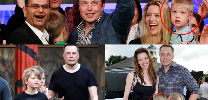 Why does Elon Musk want to breed Americans like rabbits?