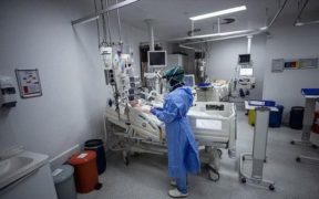 Chinese researchers'successfully' perform the first human liver xenotransplant operation in history