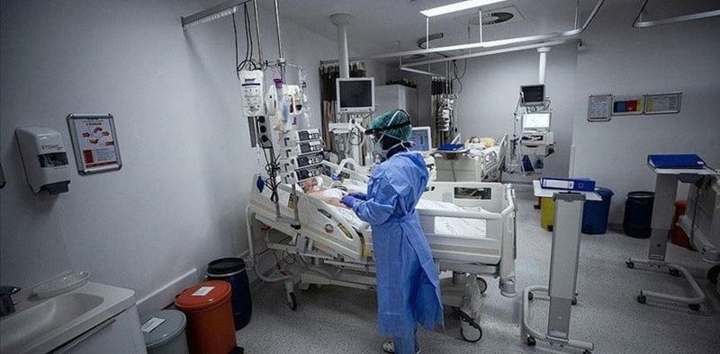 Chinese researchers'successfully' perform the first human liver xenotransplant operation in history