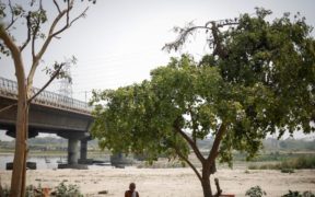 Delhi, the nation's capital, records its first heat-related death of the year