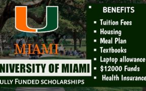 University of miami Scholarship 2024
