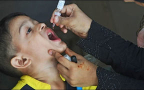 Pakistan's Fifth Polio Case in 2024 Renewed Efforts for Eradication