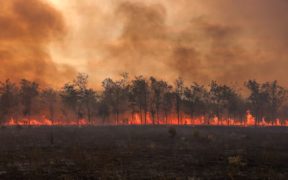 Record-breaking Global Temperature Rise Signals Urgent Climate Action