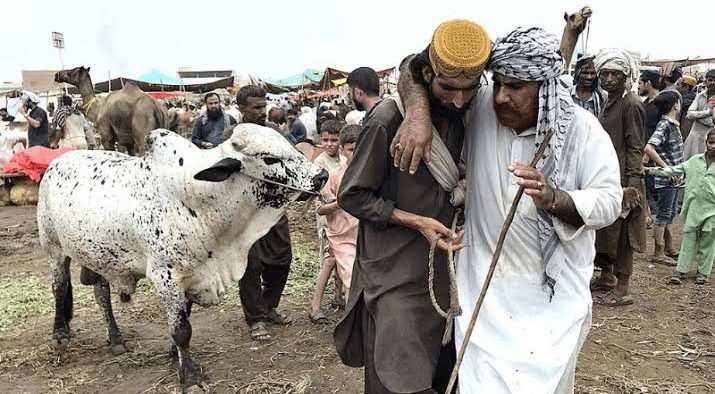 Eid-ul-Adha 2024 Qurbani Rates in Karachi: Cows 20,000 PKR, Goats 10,000 PKR