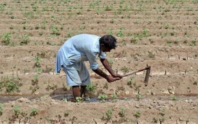 Empowering Farmers Kisan TV's Climate Adaptation and Sustainability Programs