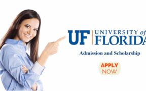 University of Florida Scholarships 2024–25