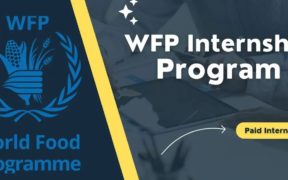 World Food Programme Internship 2024-2025