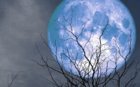 Blue Supermoon Wows Karachi, Quetta, and Lahore Rare Astronomical Event Shines 30% Brighter