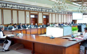 Federal Cabinet Approves Privatization of 13 Entities